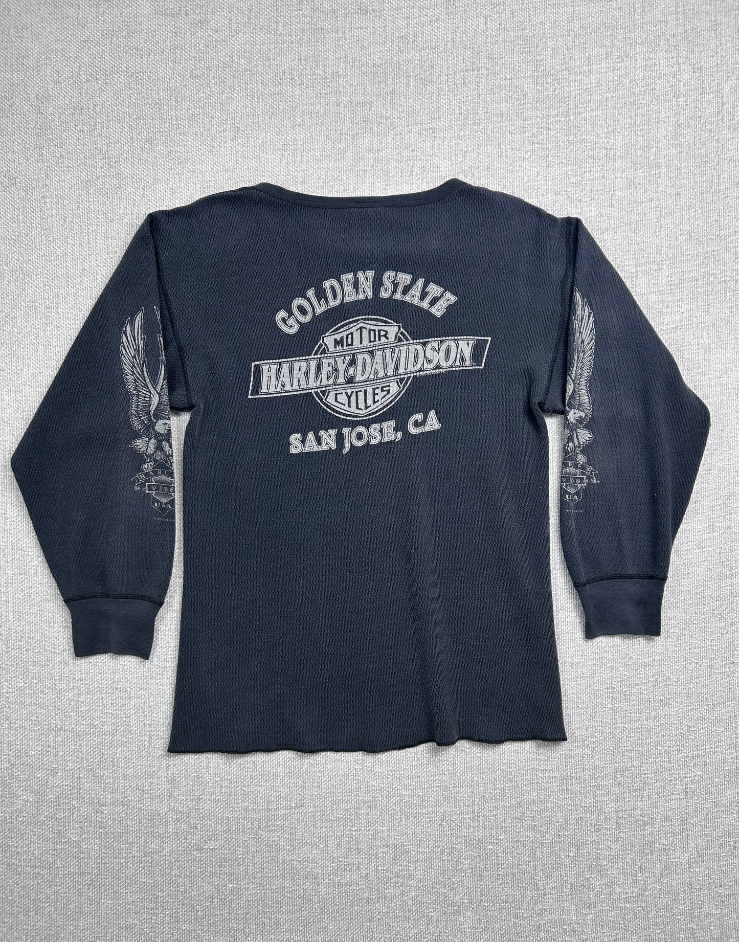 Y2K Harley Davidson San Jose Thermal