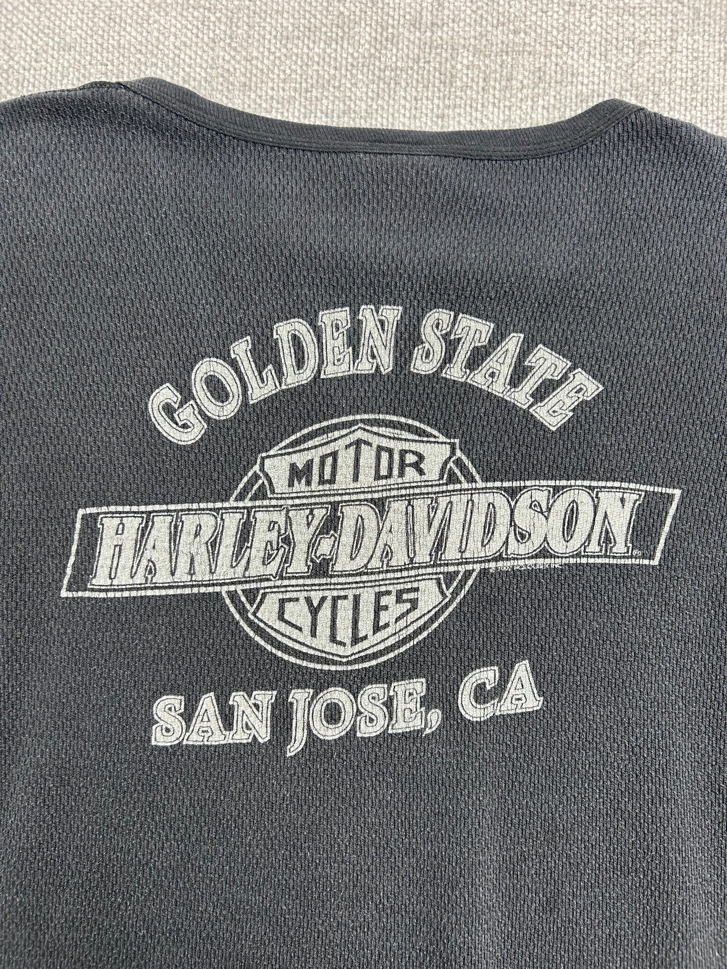 Y2K Harley Davidson San Jose Thermal