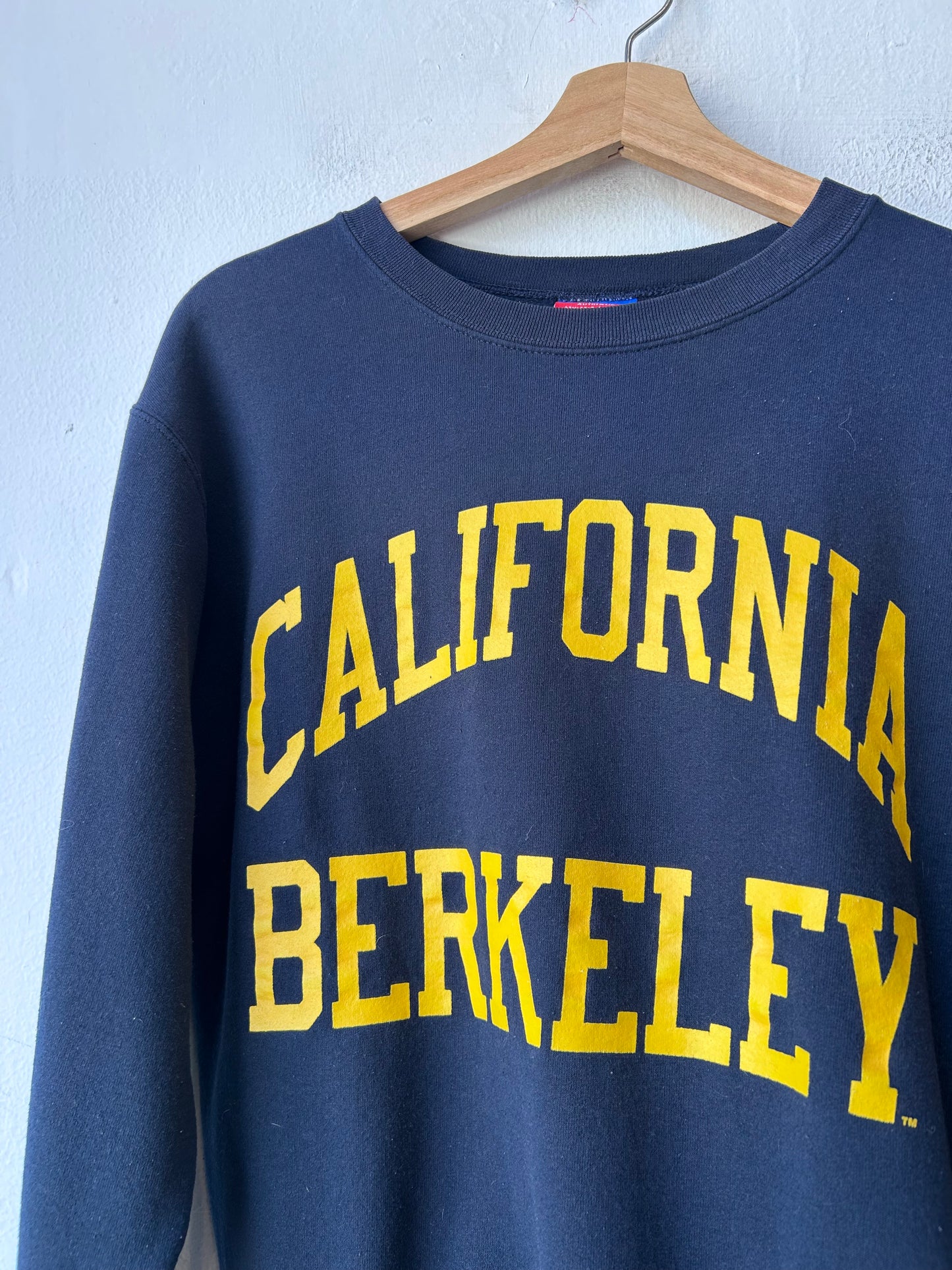 Y2K Cal Berkeley Sweatshirt